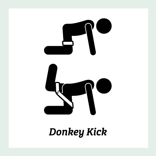 Donkey Kick