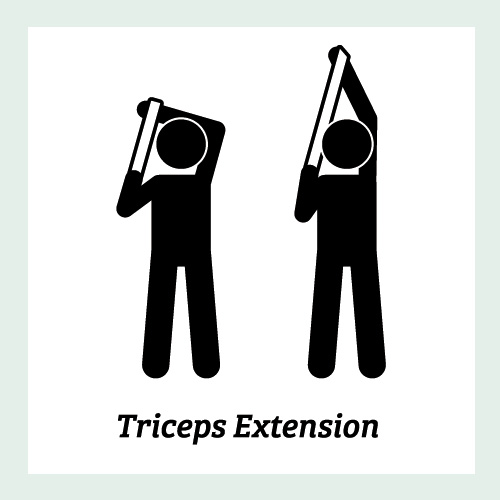 Triceps Extension