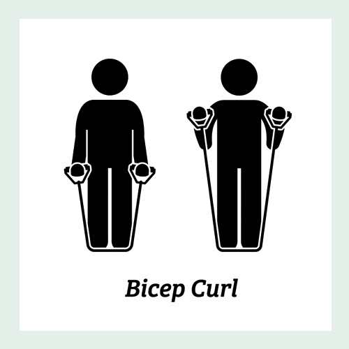 Bicep Curl