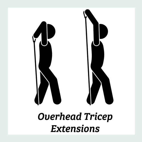 Overhead Tricep Extensions