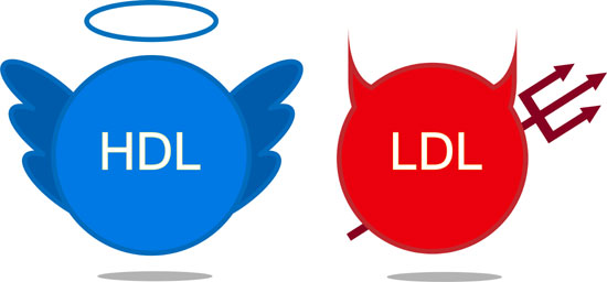HDL is the HEALTHY or GOOD cholesterol. LDL is the LOUSY or BAD cholesterol.