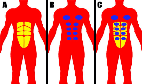 Abs Aligned with Fat Pads