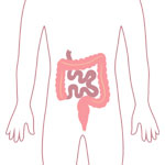 The Microbiome Diet