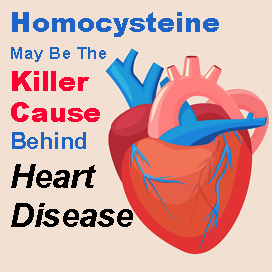 Homocysteine and Your Risk for Heart Disease