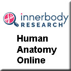 Human Anatomy Online Link